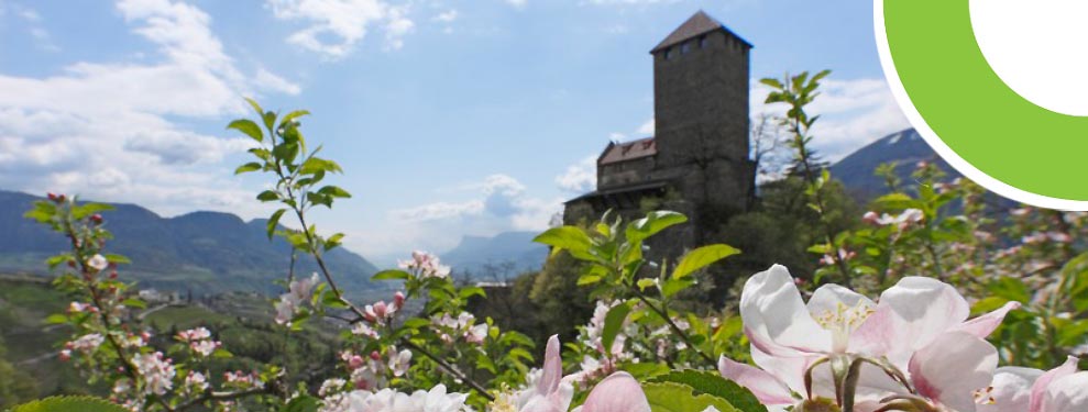 Frühling in Meran